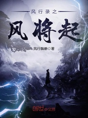 风行t5eⅴo